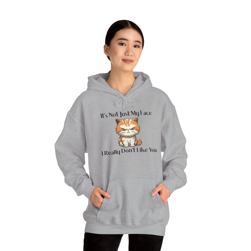Sassy Cat Hoodie — "It's Not Just My Face, I Really Don't Like You"Graphic Hooded Sweatshirt