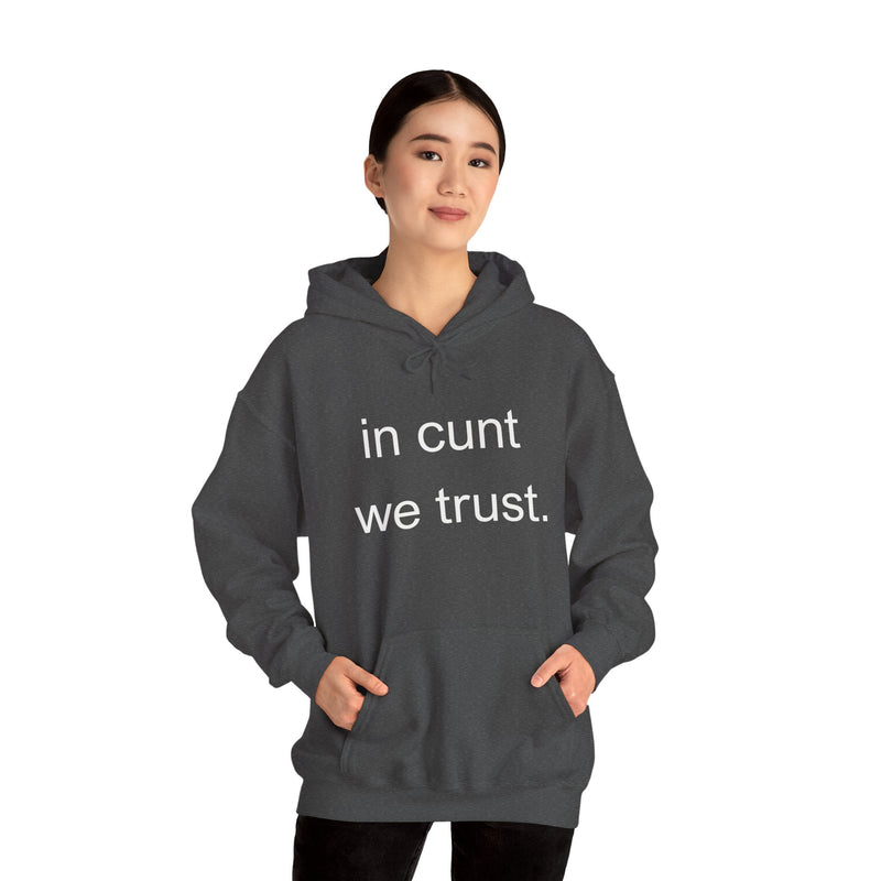 Hoodie — "in cunt we trust." Minimalist Provocative Text Hooded Sweatshirt