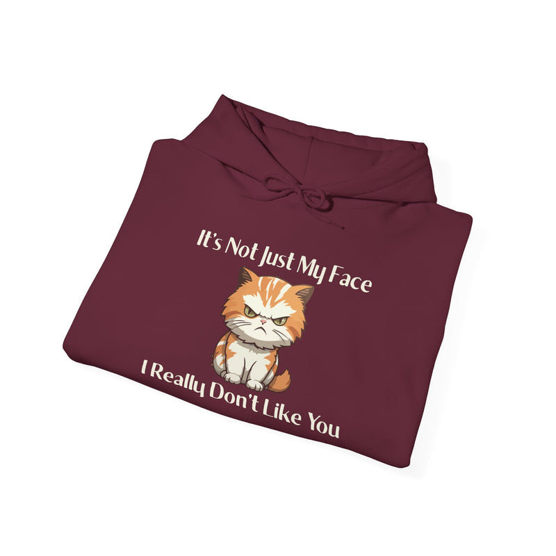Sassy Cat Hoodie — "It's Not Just My Face, I Really Don't Like You"Graphic Hooded Sweatshirt