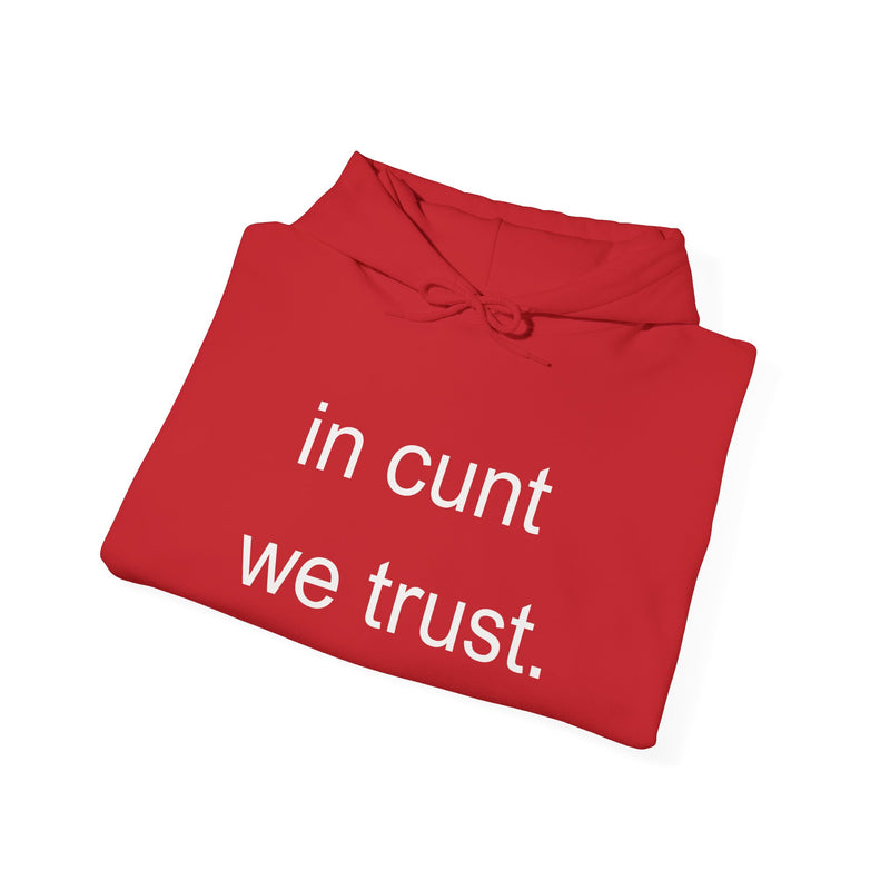 Hoodie — "in cunt we trust." Minimalist Provocative Text Hooded Sweatshirt