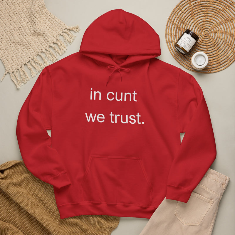 Hoodie — "in cunt we trust." Minimalist Provocative Text Hooded Sweatshirt