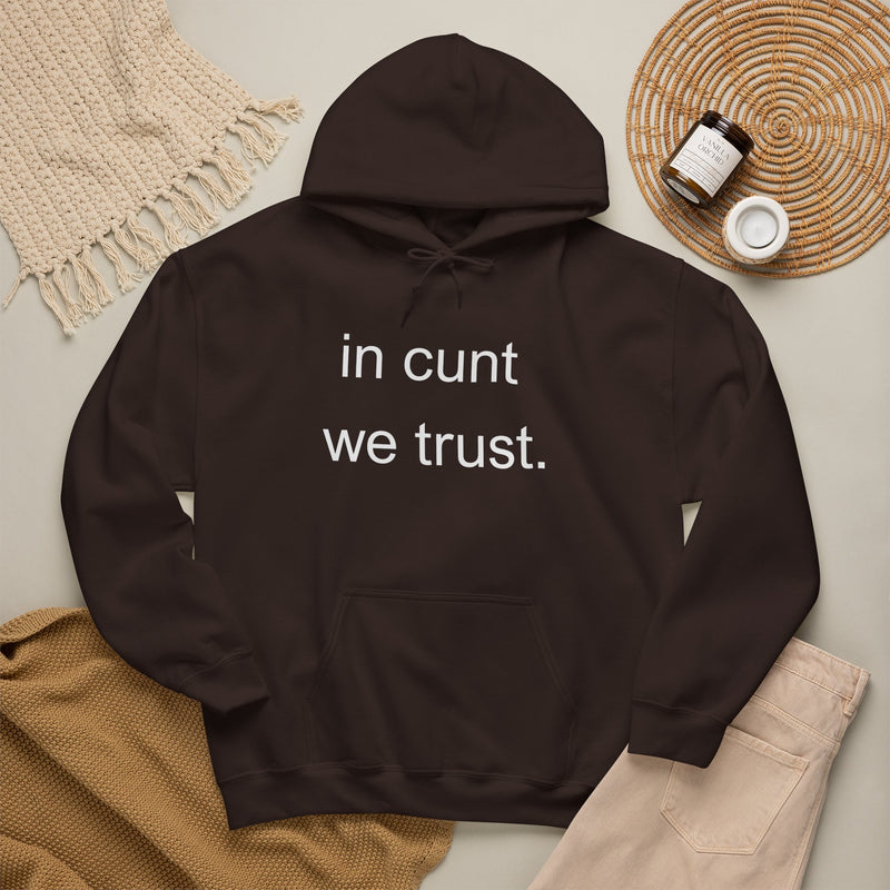 Hoodie — "in cunt we trust." Minimalist Provocative Text Hooded Sweatshirt