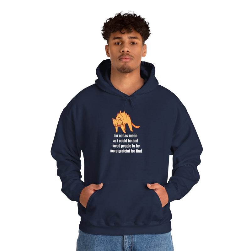Sassy Cat Hoodie — "I’m not as mean as I could be..." Hooded Sweatshirt
