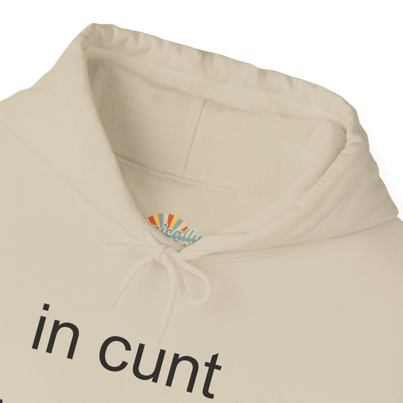 Hoodie — "in cunt we trust." Minimalist Provocative Text Hooded Sweatshirt
