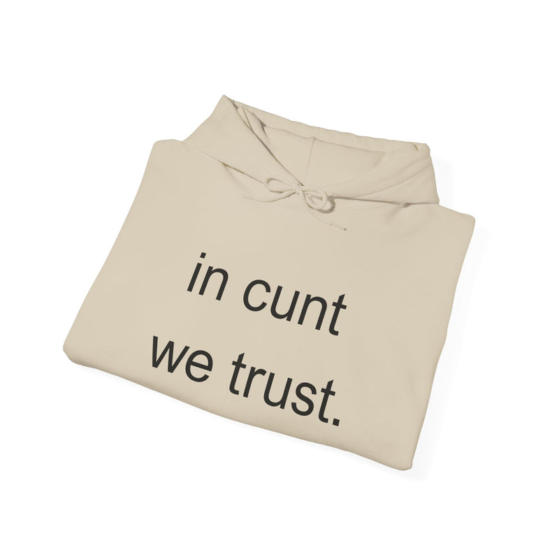 Hoodie — "in cunt we trust." Minimalist Provocative Text Hooded Sweatshirt