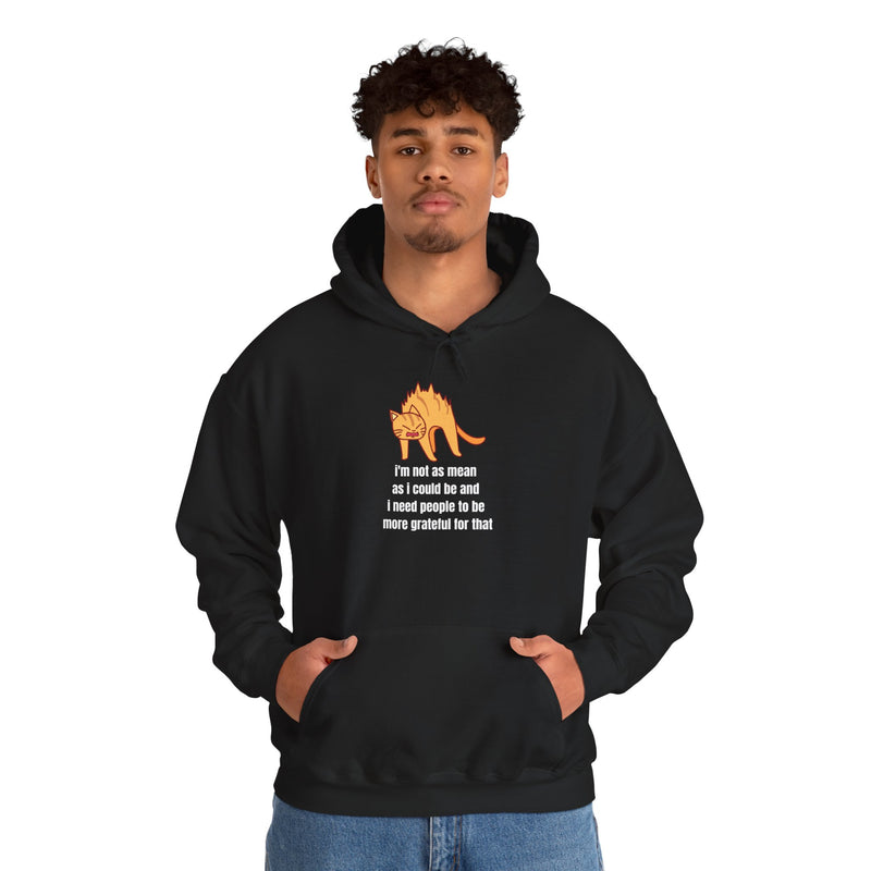 Sassy Cat Hoodie — "I’m not as mean as I could be..." Hooded Sweatshirt