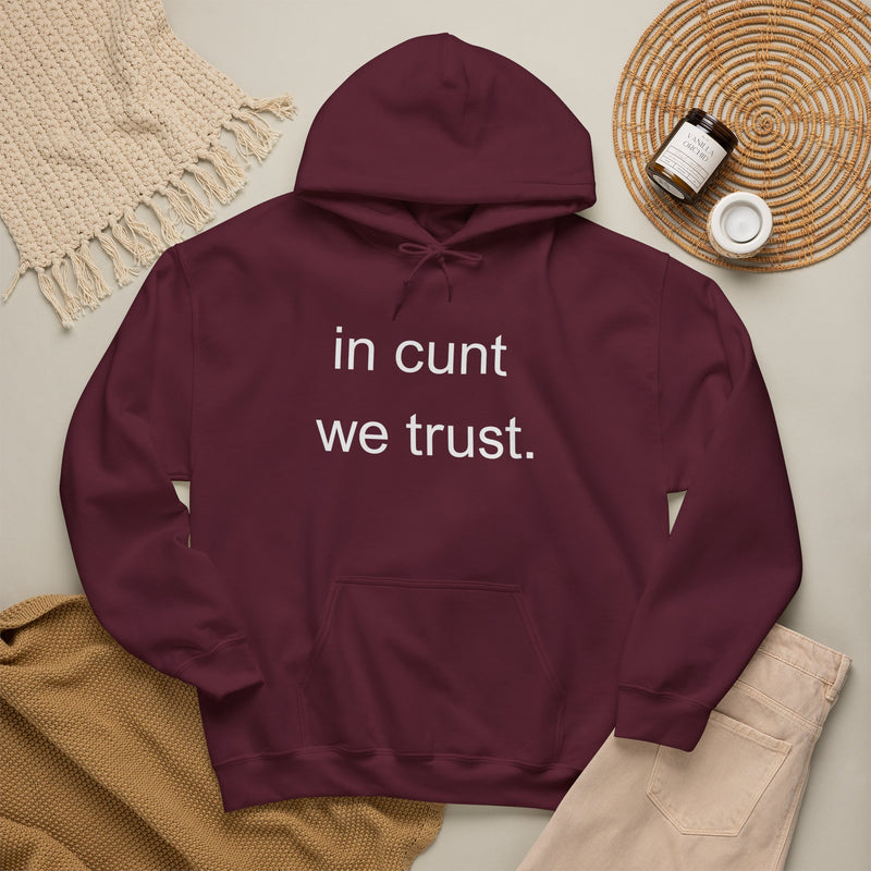 Hoodie — "in cunt we trust." Minimalist Provocative Text Hooded Sweatshirt