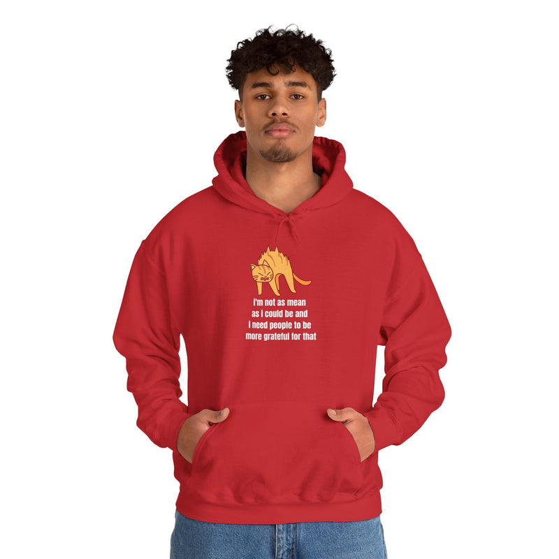 Sassy Cat Hoodie — "I’m not as mean as I could be..." Hooded Sweatshirt