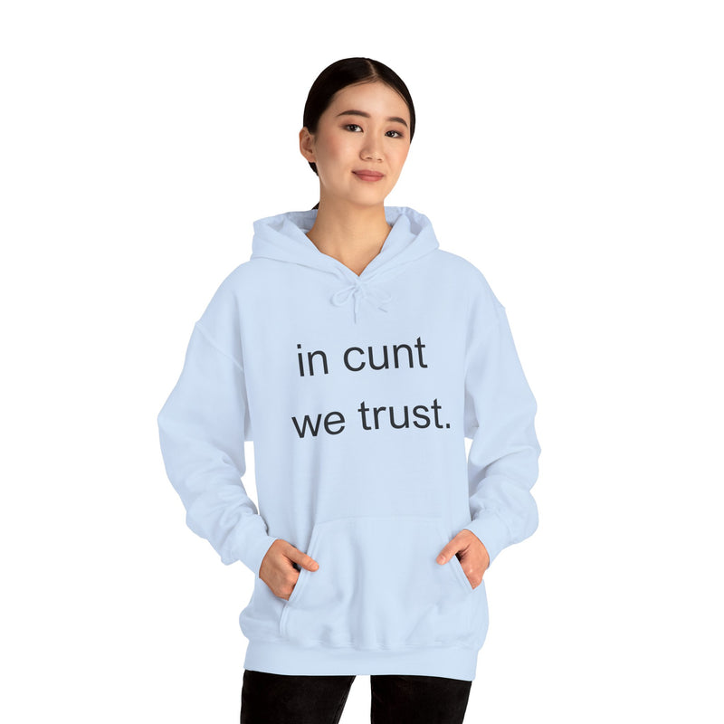 Hoodie — "in cunt we trust." Minimalist Provocative Text Hooded Sweatshirt