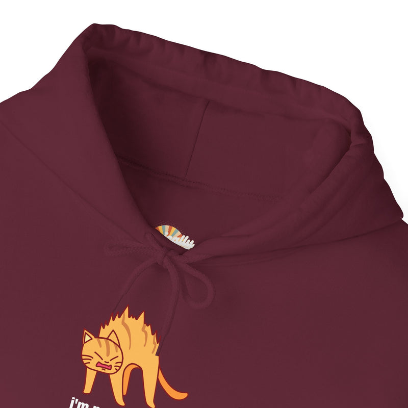 Sassy Cat Hoodie — "I’m not as mean as I could be..." Hooded Sweatshirt