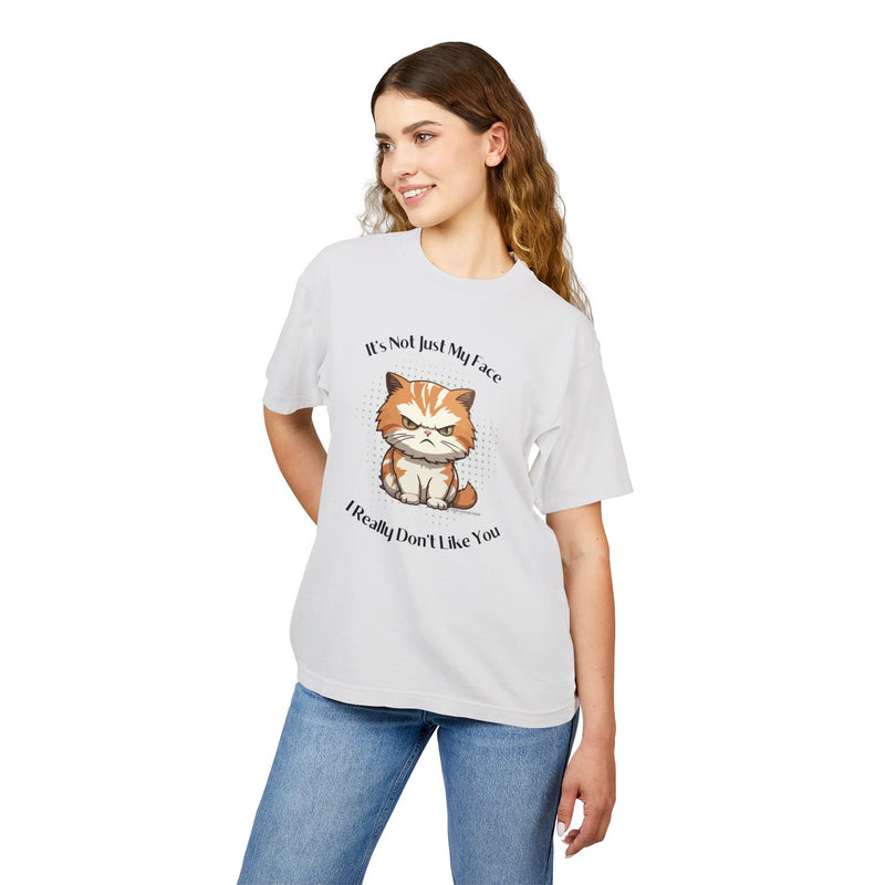 Grumpy Cat “It’s Not Just My Face, I Really Don’t Like You” Garment Dyed Urban Heavy T-Shirt