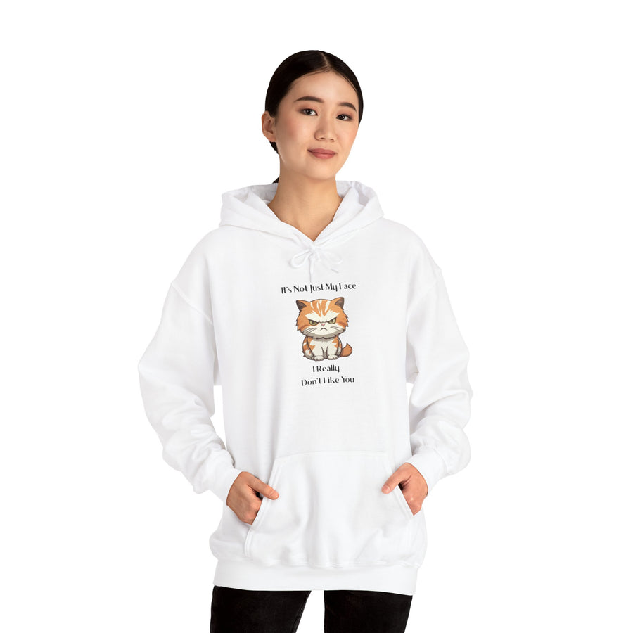 Sassy Cat Hoodie — It's Not Just My Face Graphic Hooded Sweatshirt
