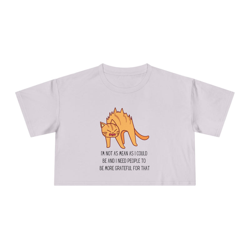 Crop Tee — Sassy Cat Graphic with Quote: "I’m Not As Mean As I Could Be, and I Need People To Be More Grateful For That" T-shirt Top