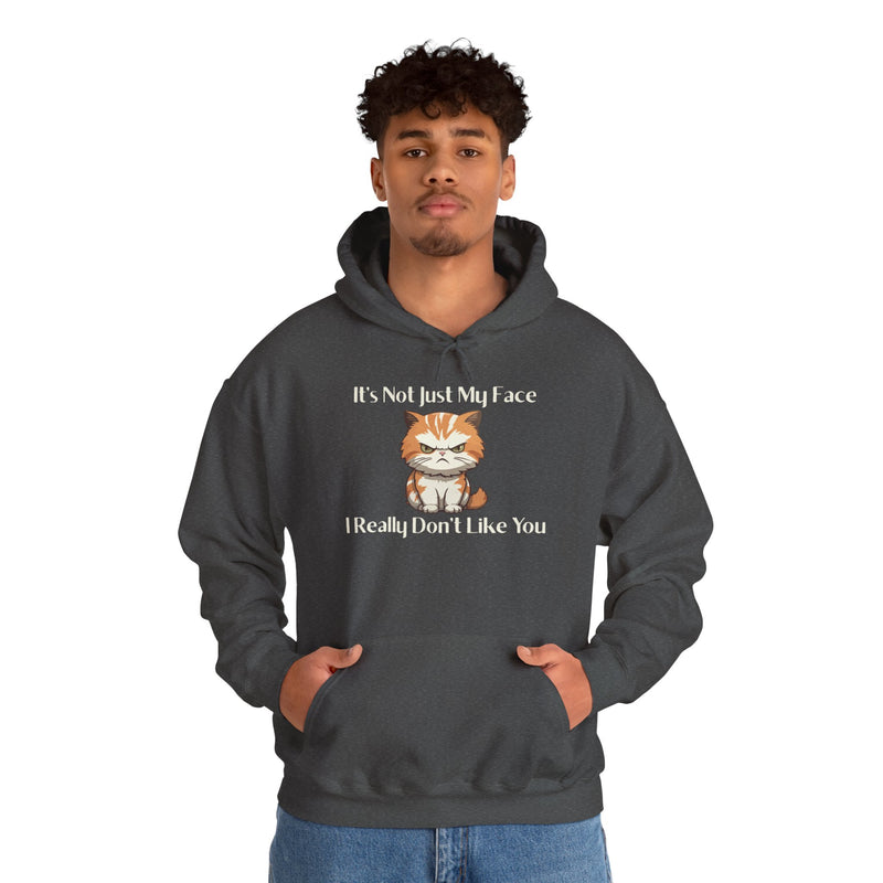 Sassy Cat Hoodie — "It's Not Just My Face, I Really Don't Like You"Graphic Hooded Sweatshirt