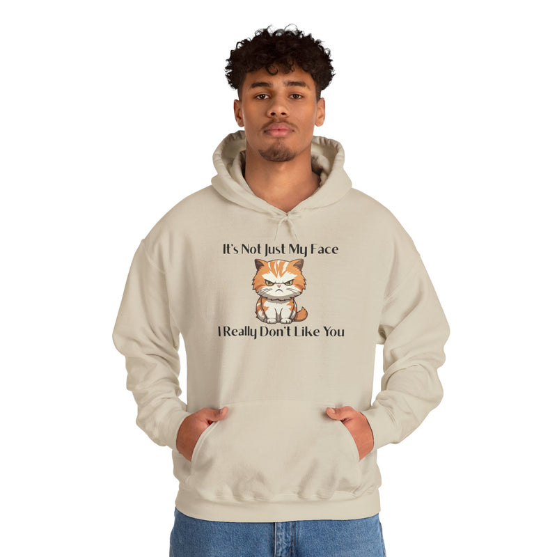 Sassy Cat Hoodie — "It's Not Just My Face, I Really Don't Like You"Graphic Hooded Sweatshirt