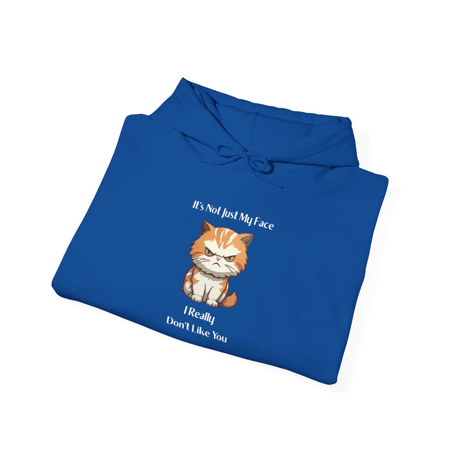 Sassy Cat Hoodie — It's Not Just My Face Graphic Hooded Sweatshirt