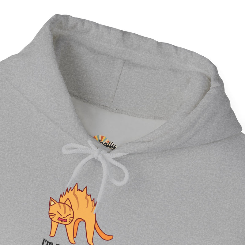 Sassy Cat Hoodie — "I’m not as mean as I could be..." Hooded Sweatshirt