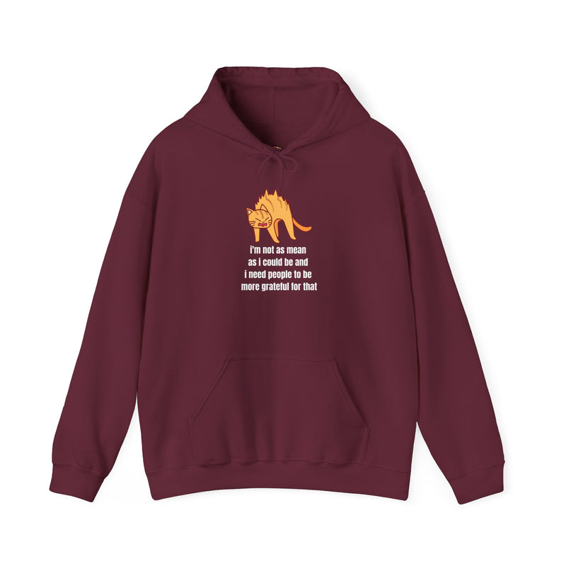 Sassy Cat Hoodie — "I’m not as mean as I could be..." Hooded Sweatshirt