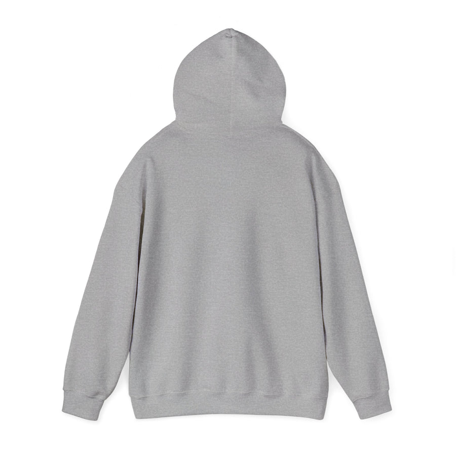 Graphic Hoodie "Duck Around and Find Out" — Hooded Sweatshirt