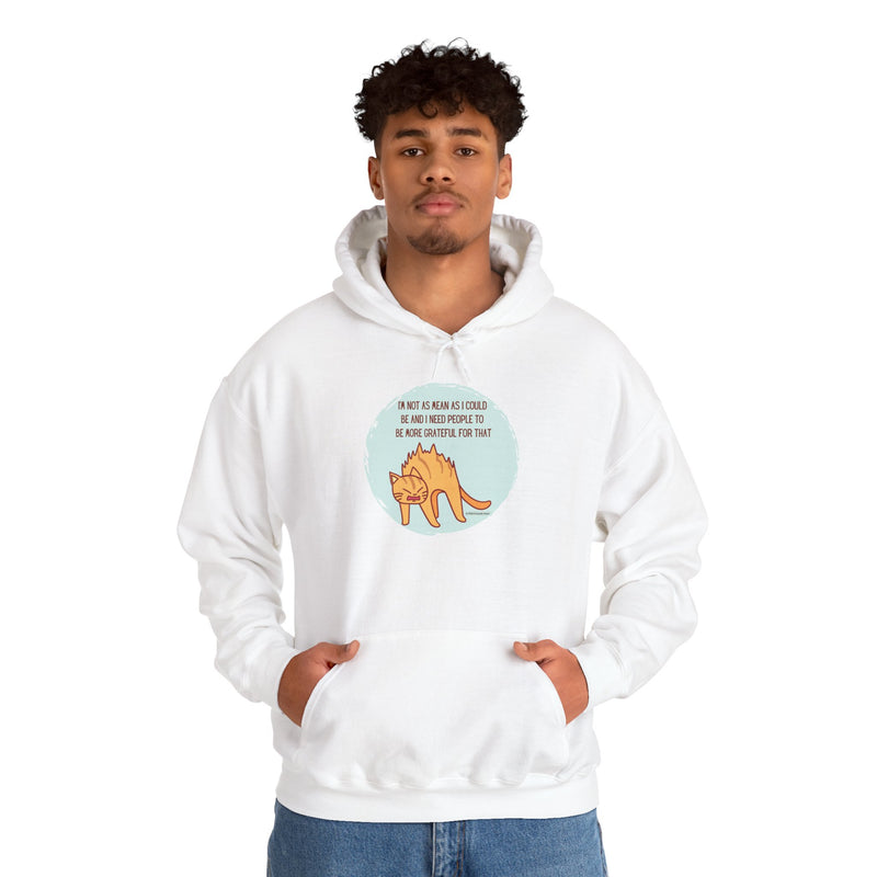 Sassy Cat Hoodie — "I’m not as mean as I could be..." Hooded Sweatshirt
