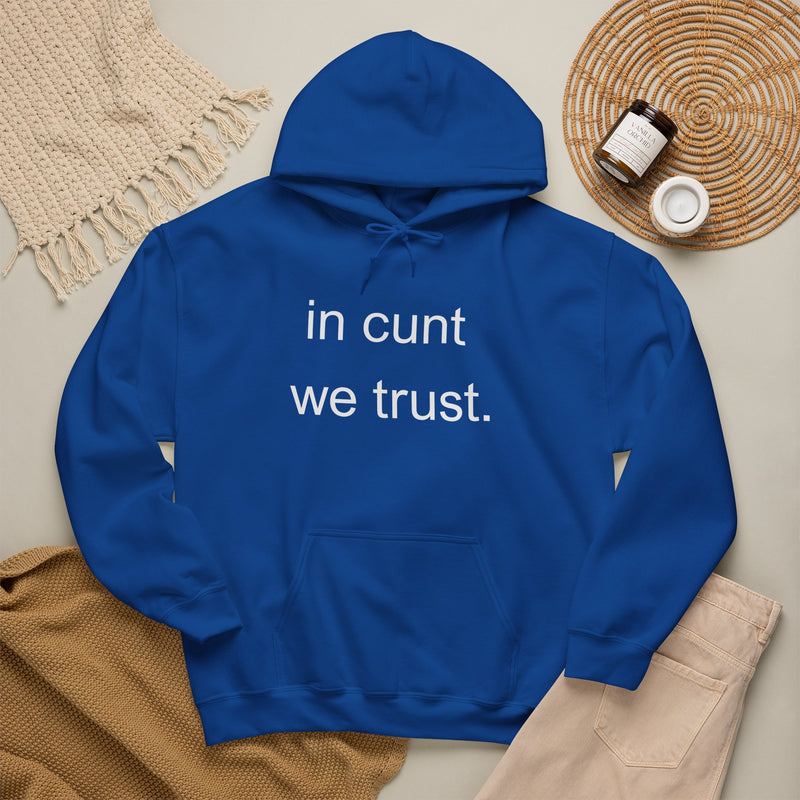 Hoodie — "in cunt we trust." Minimalist Provocative Text Hooded Sweatshirt