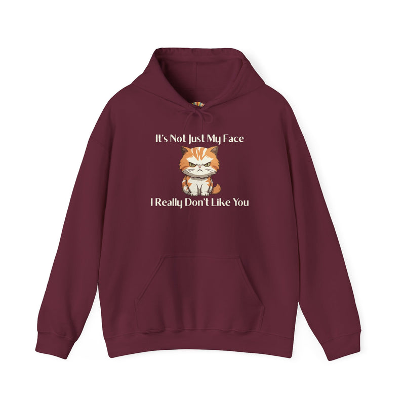 Sassy Cat Hoodie — "It's Not Just My Face, I Really Don't Like You"Graphic Hooded Sweatshirt