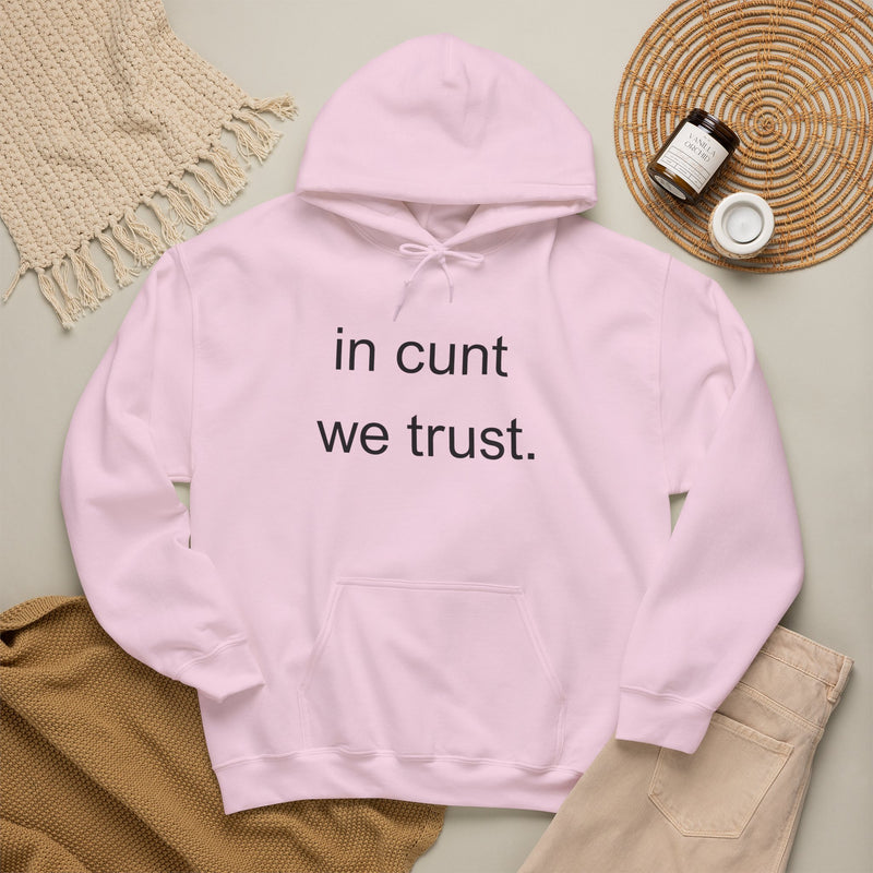 Hoodie — "in cunt we trust." Minimalist Provocative Text Hooded Sweatshirt
