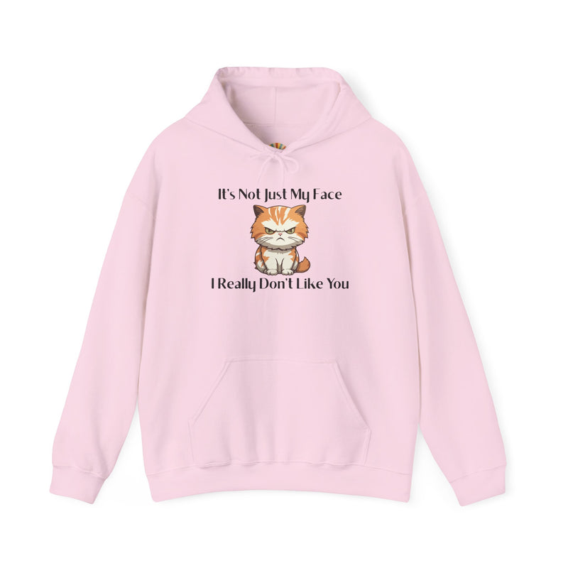 Sassy Cat Hoodie — "It's Not Just My Face, I Really Don't Like You"Graphic Hooded Sweatshirt