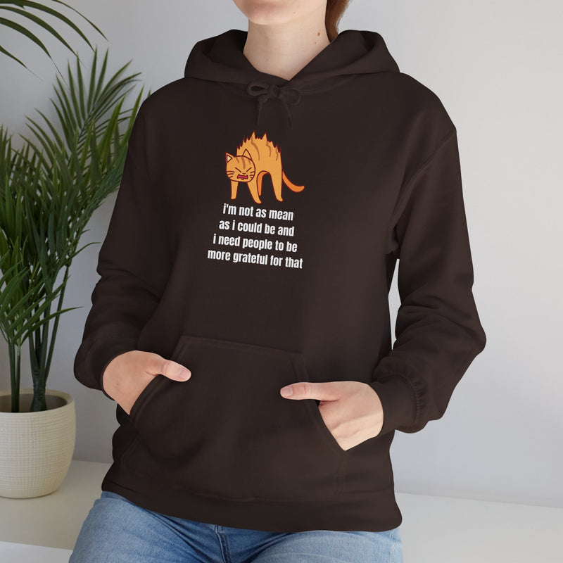 Sassy Cat Hoodie — "I’m not as mean as I could be..." Hooded Sweatshirt