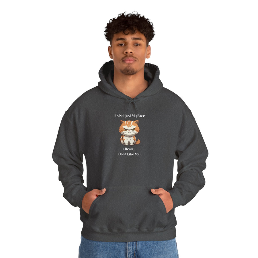 Sassy Cat Hoodie — It's Not Just My Face Graphic Hooded Sweatshirt