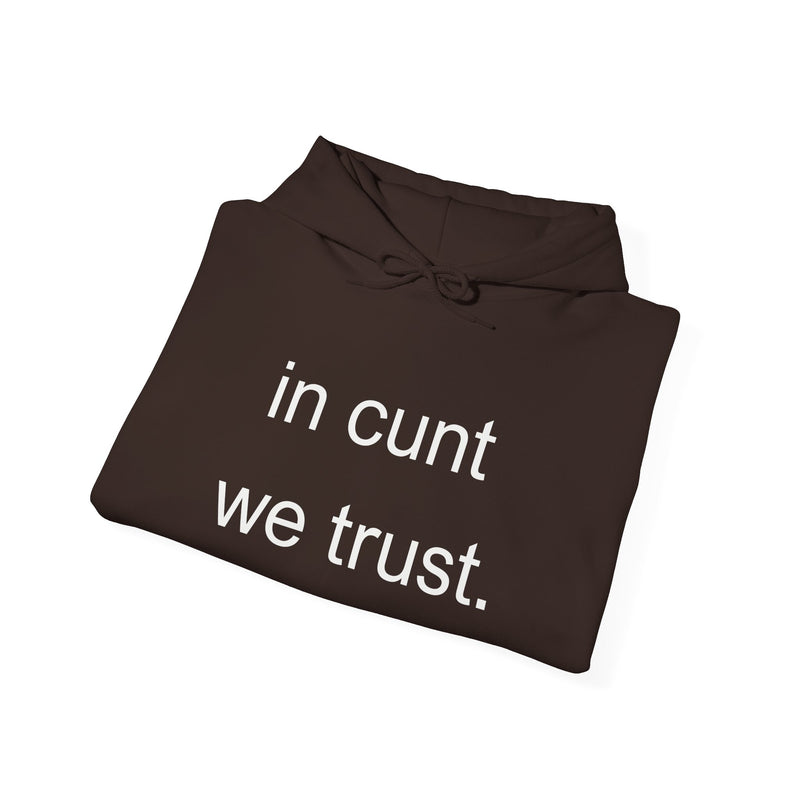 Hoodie — "in cunt we trust." Minimalist Provocative Text Hooded Sweatshirt