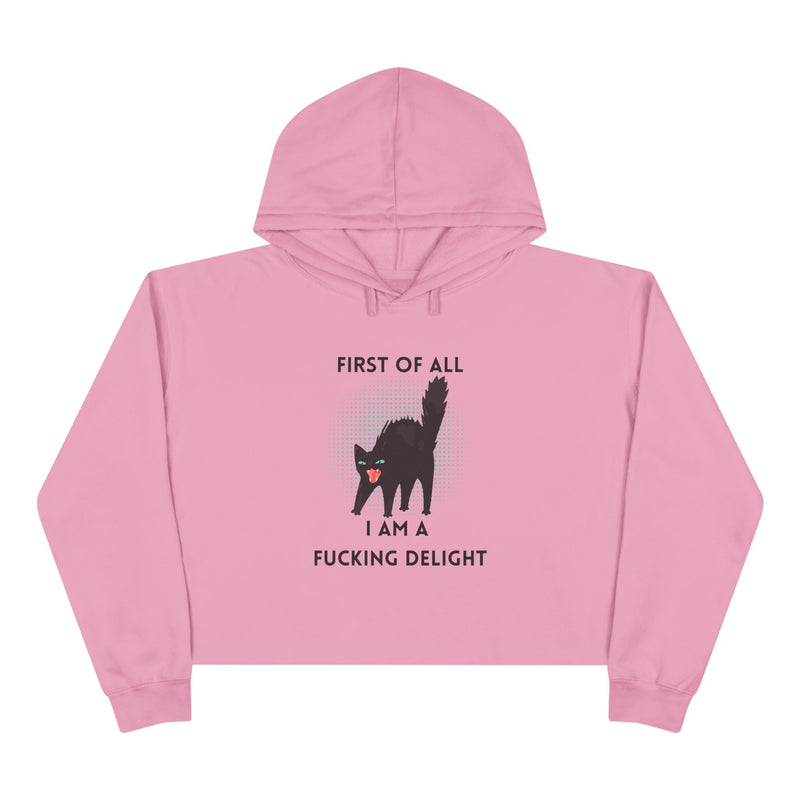 Graphic Black Cat Hooded Sweatshirt - "I am a Fucking Delight" Crop Hoodie