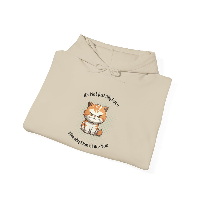 Sassy Cat Hoodie — "It's Not Just My Face, I Really Don't Like You"Graphic Hooded Sweatshirt