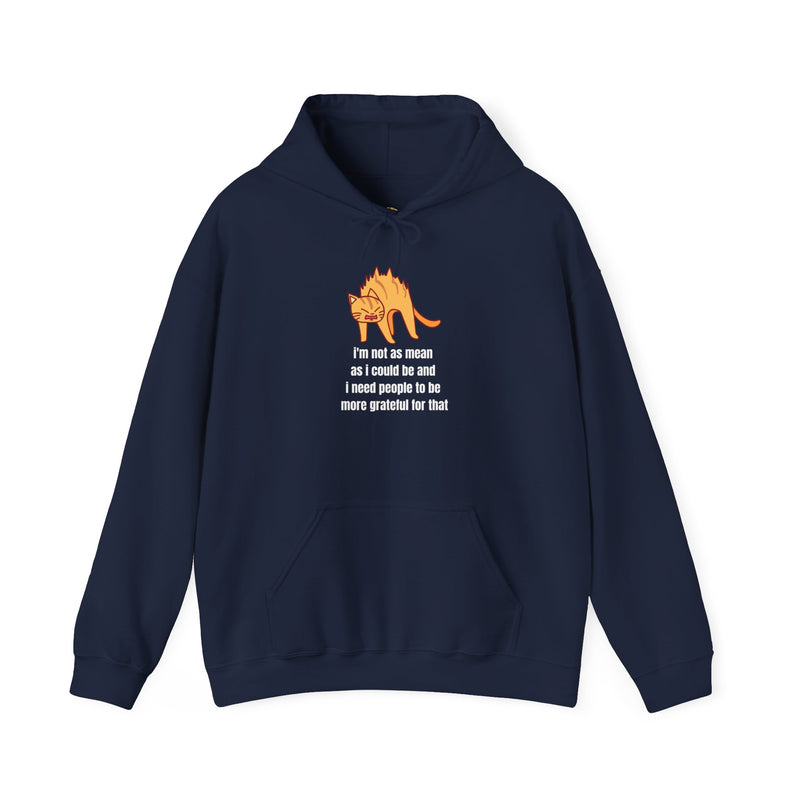Sassy Cat Hoodie — "I’m not as mean as I could be..." Hooded Sweatshirt