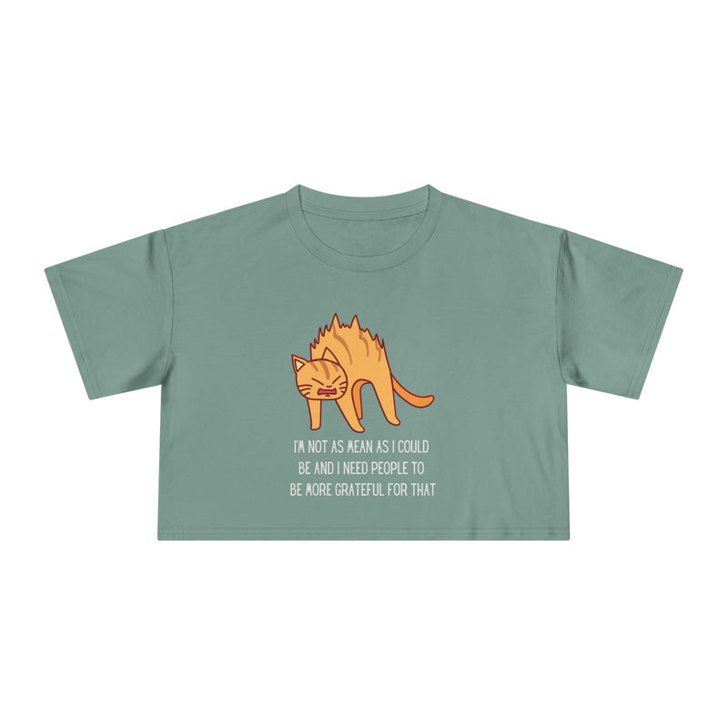Crop Tee — Sassy Cat Graphic with Quote: "I’m Not As Mean As I Could Be, and I Need People To Be More Grateful For That" T-shirt Top