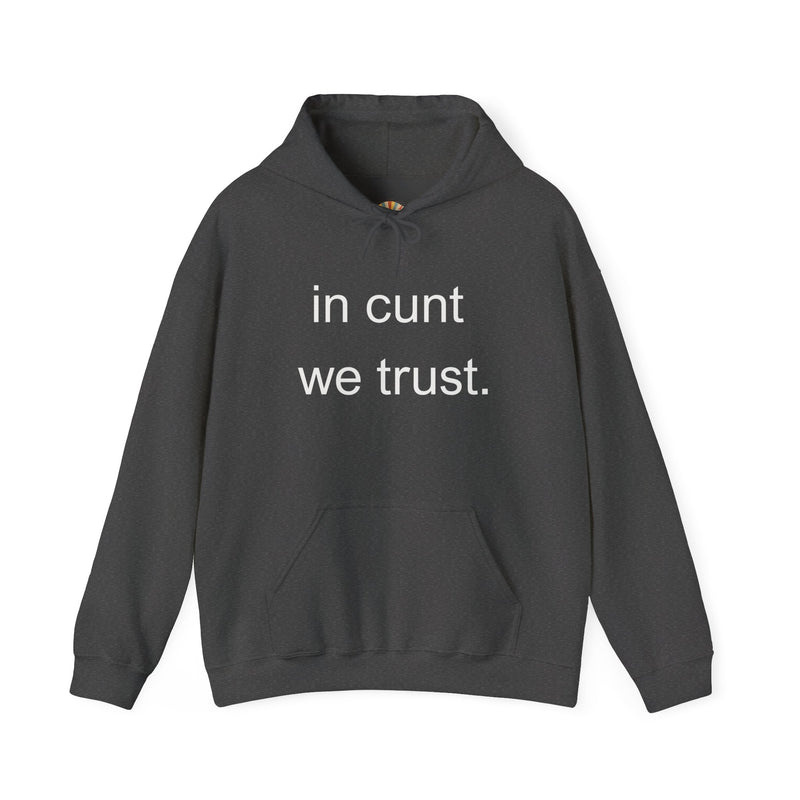 Hoodie — "in cunt we trust." Minimalist Provocative Text Hooded Sweatshirt