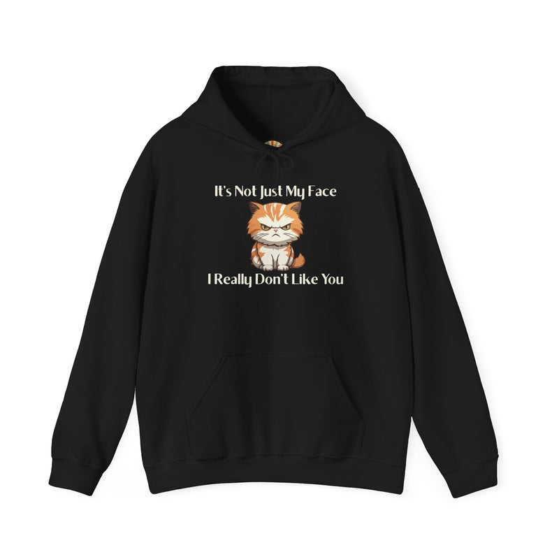 Sassy Cat Hoodie — "It's Not Just My Face, I Really Don't Like You"Graphic Hooded Sweatshirt