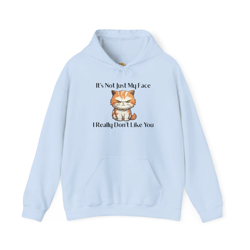 Sassy Cat Hoodie — "It's Not Just My Face, I Really Don't Like You"Graphic Hooded Sweatshirt