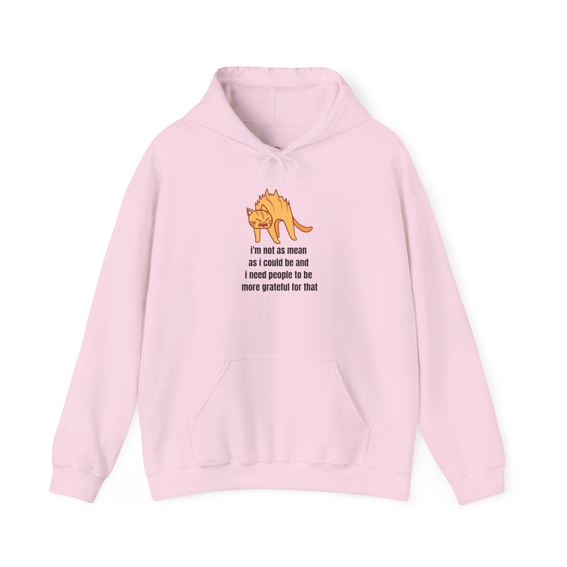 Sassy Cat Hoodie — "I’m not as mean as I could be..." Hooded Sweatshirt