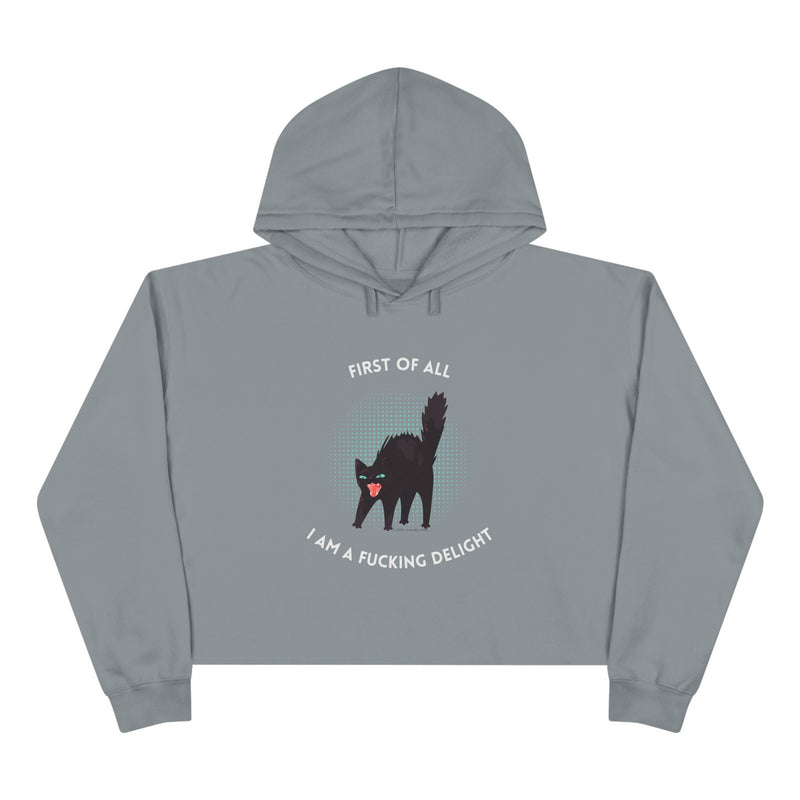 Graphic Black Cat Hooded Sweatshirt - "I am a Fucking Delight" Crop Hoodie