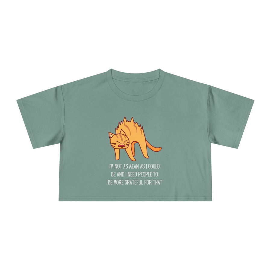 Crop Tee — Sassy Cat Graphic with Quote: "I’m Not As Mean As I Could Be, and I Need People To Be More Grateful For That" T-shirt Top