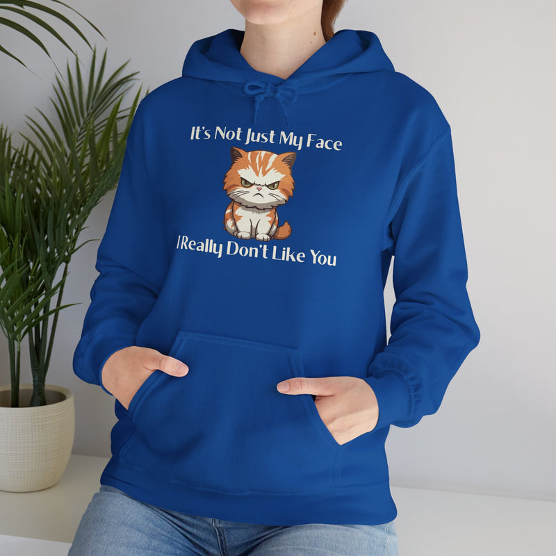 Sassy Cat Hoodie — "It's Not Just My Face, I Really Don't Like You"Graphic Hooded Sweatshirt