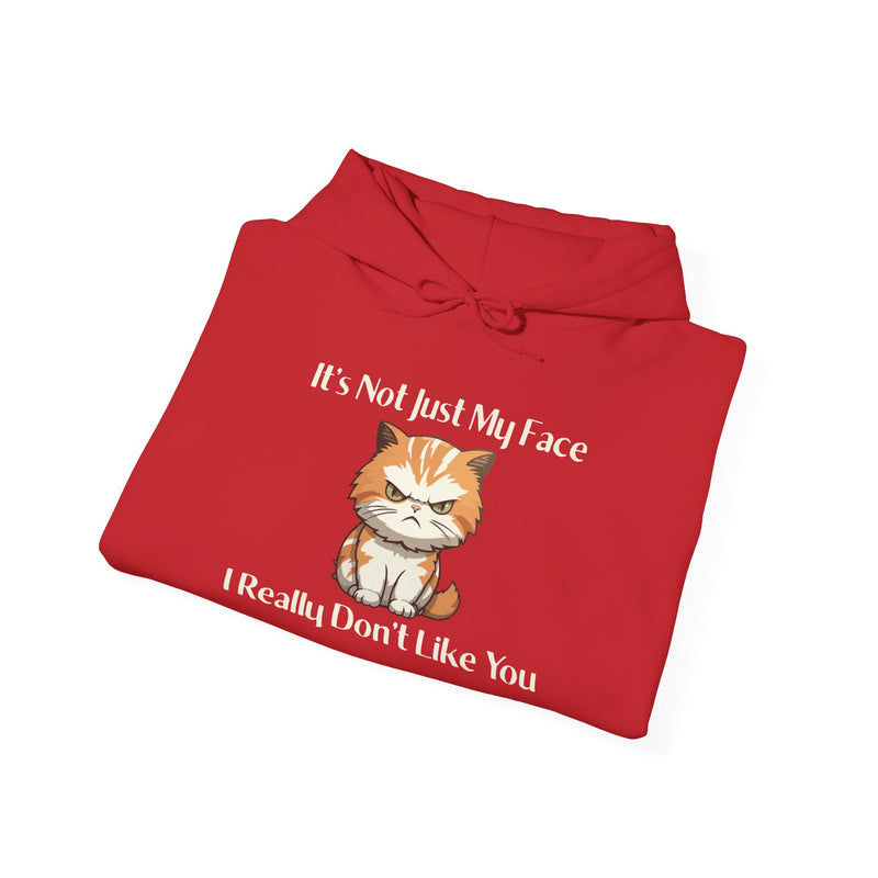 Sassy Cat Hoodie — "It's Not Just My Face, I Really Don't Like You"Graphic Hooded Sweatshirt