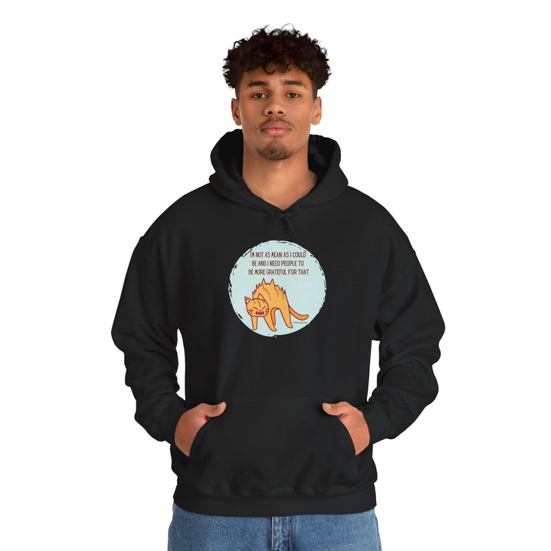 Sassy Cat Hoodie — "I’m not as mean as I could be..." Hooded Sweatshirt