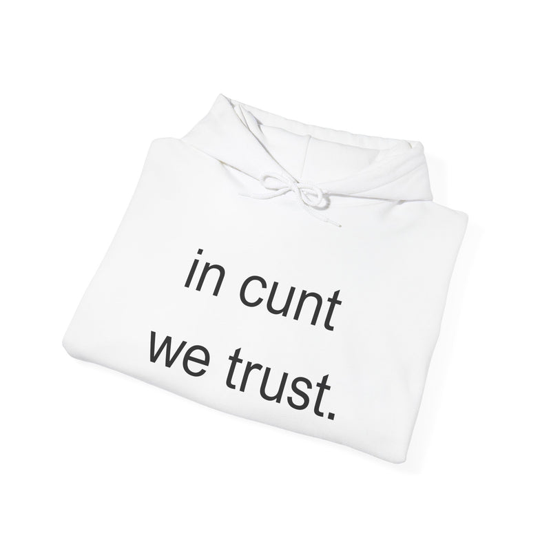 Hoodie — "in cunt we trust." Minimalist Provocative Text Hooded Sweatshirt
