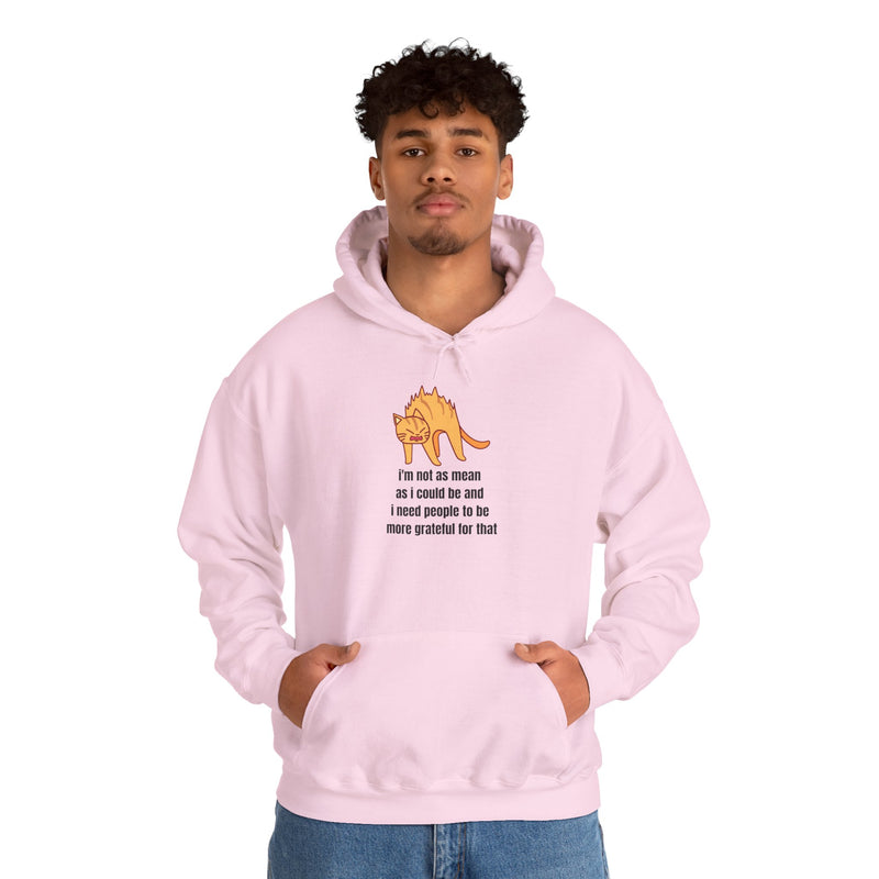 Sassy Cat Hoodie — "I’m not as mean as I could be..." Hooded Sweatshirt
