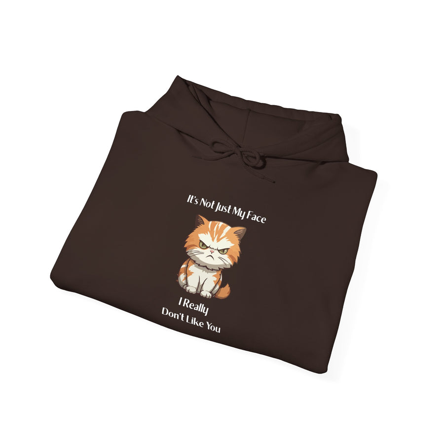 Sassy Cat Hoodie — It's Not Just My Face Graphic Hooded Sweatshirt