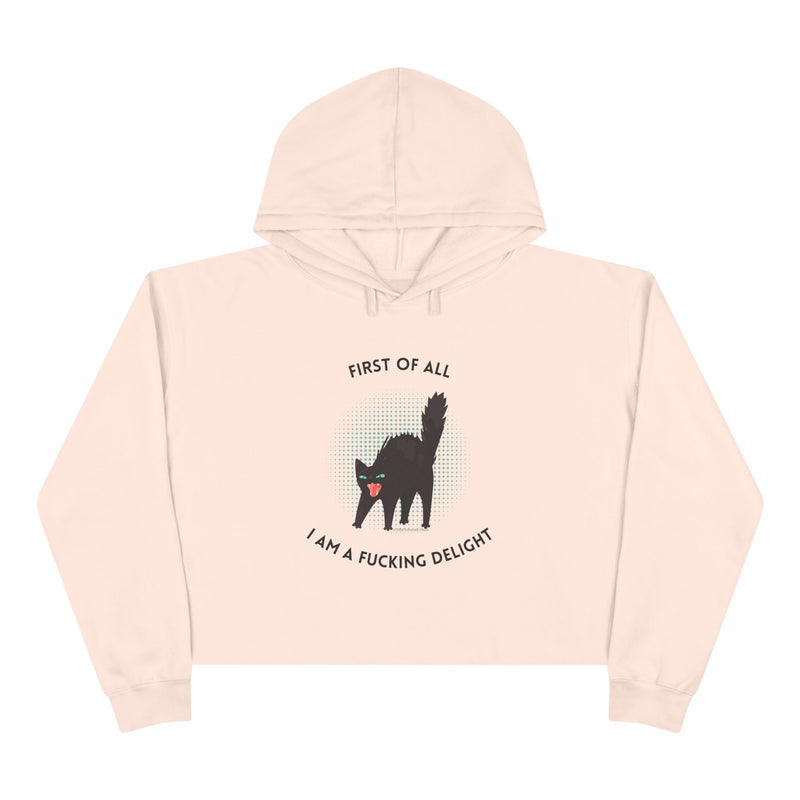 Graphic Black Cat Hooded Sweatshirt - "I am a Fucking Delight" Crop Hoodie