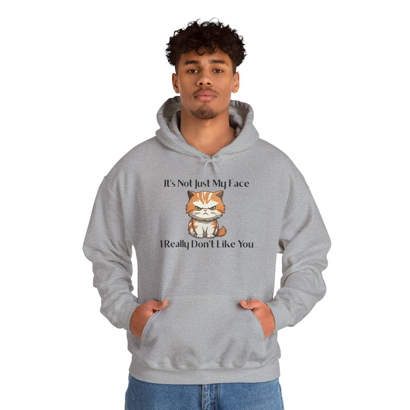 Sassy Cat Hoodie — "It's Not Just My Face, I Really Don't Like You"Graphic Hooded Sweatshirt