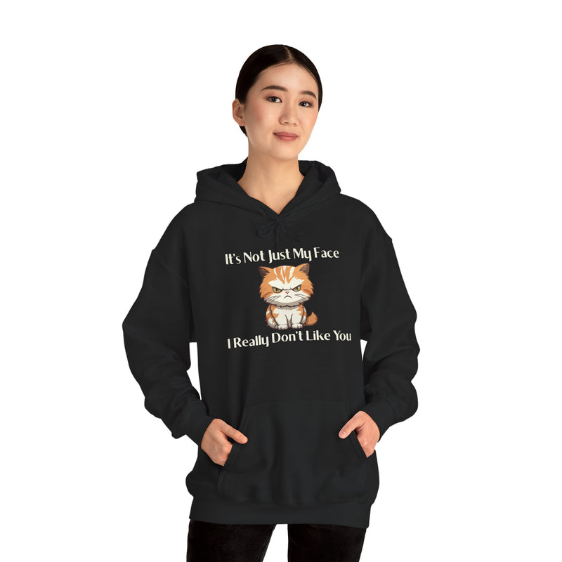 Sassy Cat Hoodie — "It's Not Just My Face, I Really Don't Like You"Graphic Hooded Sweatshirt